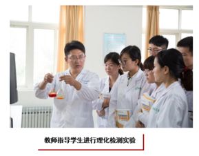 食品檢驗檢測技術 技術手段、應用與發展趨勢